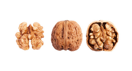 isolated walnuts on white background