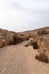 Ravine on the Island of Fuerteventura