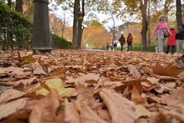 El Retiro , Madrid