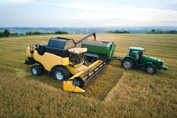 Aerial view of combine harvester unloading grain in cargo trailer working during harvesting season...
