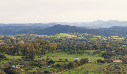 Naklejka premium Rural landscape with meadows, pastures, groves and forests in the Sierra de Aracena (Andalucia, Spain). Natural park with wide green pastures of grass, cork oaks, holm oaks and chestnut trees.