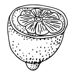 doodle icon. lemon. vector illustration