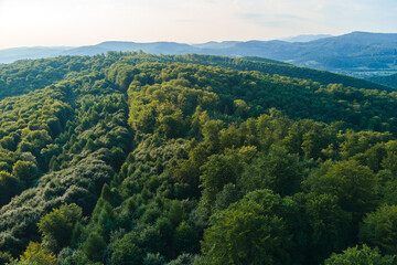 Obraz premium Aerial view of mountain hills covered with dense green lush woods on bright summer day