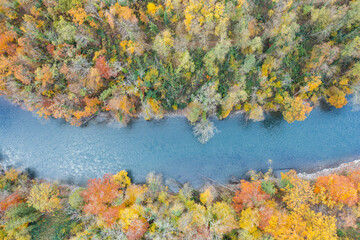 Amazing colorful forest in Switzerland. There are so many different colours in the trees. wonderful flight with a drone and an amazing view over the beautiful landscape.