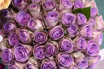 large bouquet of lilac roses. A gift for a birthday, wedding or Mother's Day