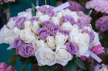 large bouquet of two-tone lilac and white roses of delicate shades. gift for a birthday, wedding or Mother's Day