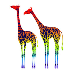 rainbow giraffe cartoon isolated on white