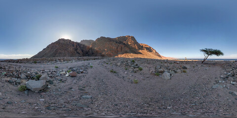 full seamless spherical hdri 360 panorama view of sunset in desert near tree with sun shines from...