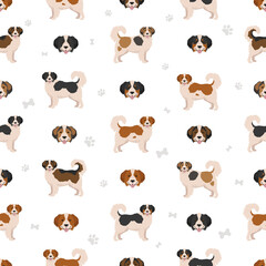 Tornjak seamless pattern. Different poses, coat colors set