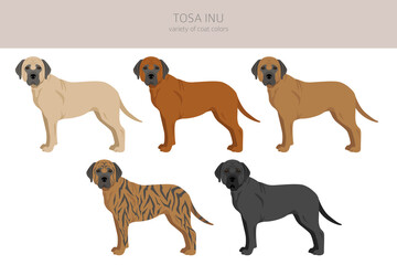 Tosa Inu clipart. Different poses, coat colors set