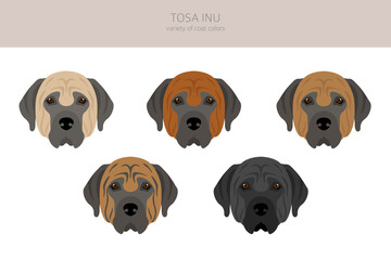Tosa Inu clipart. Different poses, coat colors set