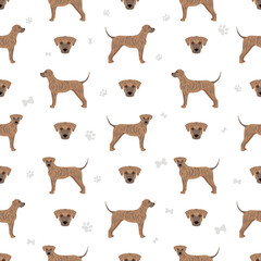 Treeing Tennessee Brindle seamless pattern. Different poses, coat colors set
