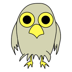 owl,owl,forest bird,night bird,bird of prey,children's cute owl,children's cute owl