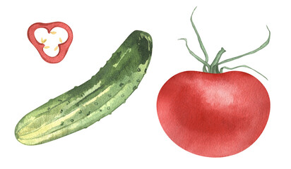 Eco food set menu background. Watercolor hand drawn vegetables, cucumber, salad, tomato, pepper, organic. Isolated elements. For restaurant, kitchen, textile, fabric.