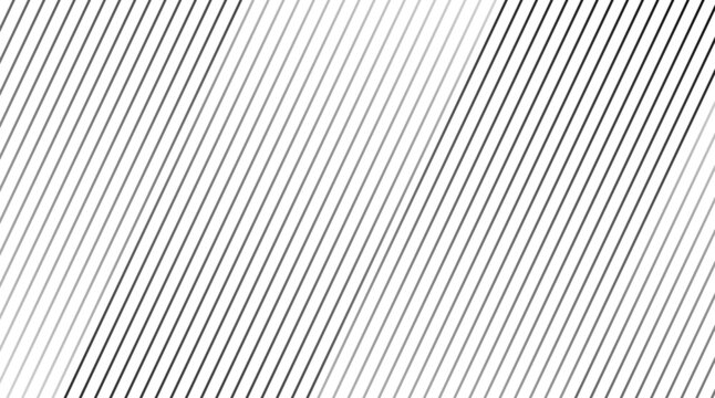 stripe pattern white line background. Thin dark lines on white background. Abstract texture line pattern background