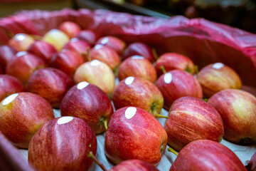Ripe juicy red apples with blank sticker labels in a cardboard box. Production facilities of large warehouse - grading, packing and storage of crops.
