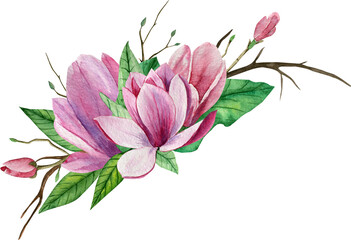 Watercolor composition with pink magnolia flowers and green leaves. Decorating a wedding invitation.