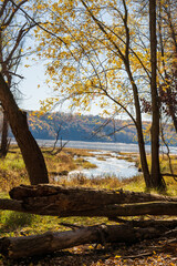 Fototapeta premium autumn view over the st croix river
