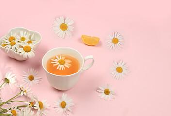 Chamomile herbal tea on a gentle pastel background, alternative medicine concept,summer background,chamomile is a medicinal plant and is used to treat diseases and calms the nerves