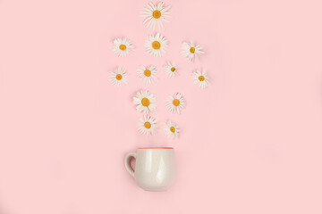 Chamomile herbal tea on a gentle pastel background, a minimal alternative medicine concept, summer background, chamomile is a medicinal plant and is used to treat diseases and calms the nerves,