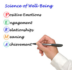  Science of Well-Being: PERMA concept