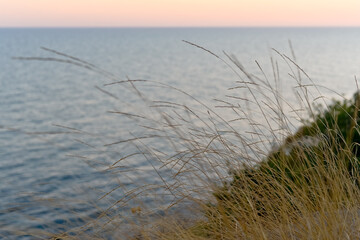 Grass and sunset color on the sea