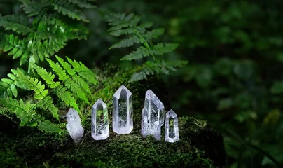  Clear quartz crystals on natural dark forest background. gemstones for healing Magic Crystal Ritual, Witchcraft. spiritual esoteric practice, Reiki therapy for life balance © Ju_see
