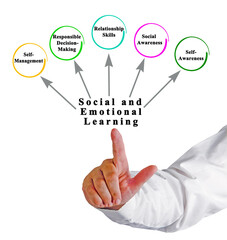  Components of Social and Emotional Learning