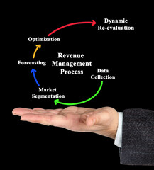  Components of Revenue Management Process