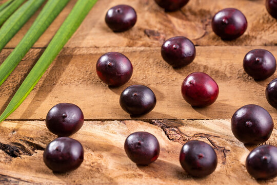 Fresh organic acai berries - Euterpe oleracea