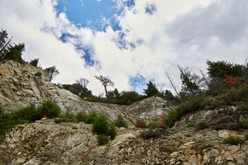 Close-up mountain peak with pebble texture and vegetation coming out of the rock joint.