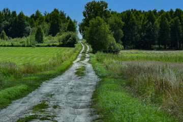 Chemin de campagne