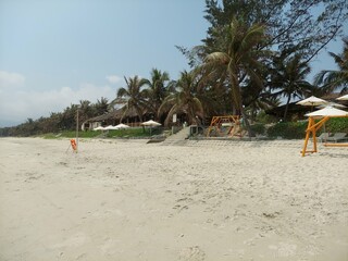 beach with palm trees