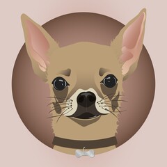 Editable vector illustration of chihuahua dog in EPS10.