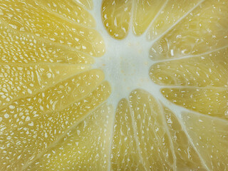 a slice of juicy fresh yellow aromatic bergamot very close in detail close-up macro. fruit...