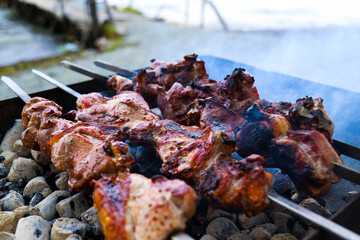 Pork shashlik in smoke on coals by the lake. Shallow depth of field