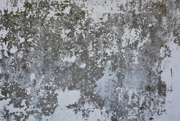 Texture from dirty, old concrete. The picture can be used as a background