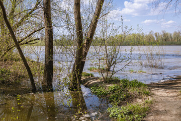 Obraz premium High water level in the Vistula river after spring downpours, Warsaw city, Poland