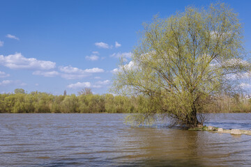 Fototapeta na wymiar Flooded bank of Vistula river after spring downpours, Warsaw city, Poland