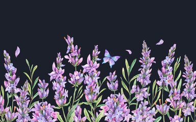 Naklejka premium Watercolor lavender flowers natural greeting card in vintage style isolated on black background. Botanical illustration