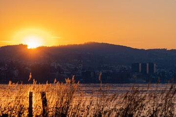 Fototapeta premium Sunset at the lake of Constance in Altenrhein in Switzerland