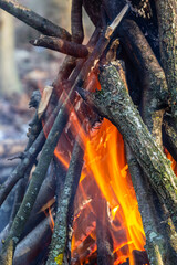 Campfire in the spring forest. Rest on the weekend. Danger of forest fires