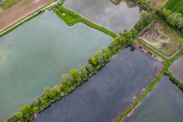 Fishing ponds in Miedzyrzecze Gorne, small village in Silesia region in Poland