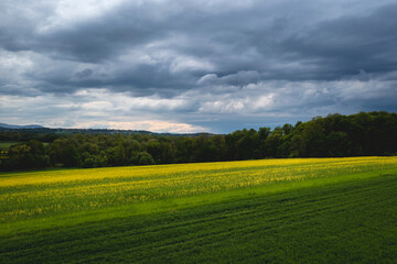 Field near Miedzyrzecze Gorne, small village in Silesia region, Poland