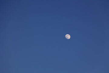 Księżyc na tle niebieskiego wieczornego nieba. 
