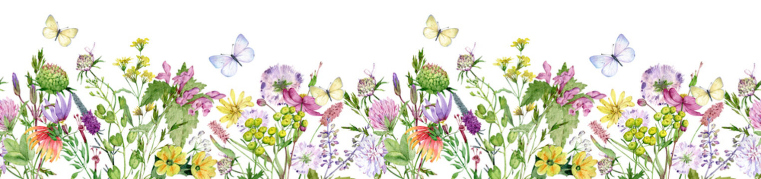 Watercolor seamless border with wildflowers and butterflies. Filed flowers header. Meadow pattern