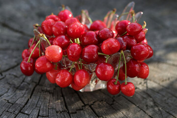 Fresh red Sweet Cherries on the  wooden table. Red Cherries. Food background. Fresh ripe sour Cherries with stalks. Fresh .Red Juicy Sweet cherries on wooden background. Diet healthy food. Horizontal 