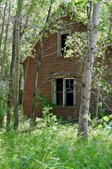 an abandoned house is found in the woods