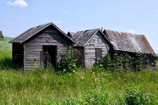 abandoned farm buildings are crumbling in a field