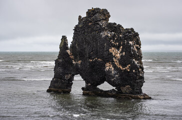 The drinking elephant or rhinoceros, basalt stack Hvitserkur along the eastern shore of Vatnsnes peninsula, in northwest Iceland. Awesome rock structure made from basalt and standing 15 metres tall.